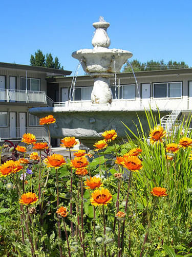 Comox Valley Inn & Suites Courtenay Exterior photo
